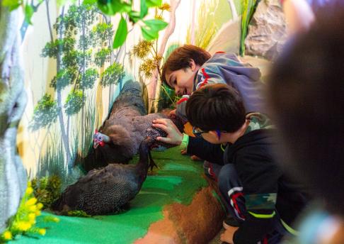 Exposição Zoo África 