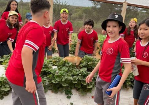 Campo de Morangos // 6º ano // 29.09.23