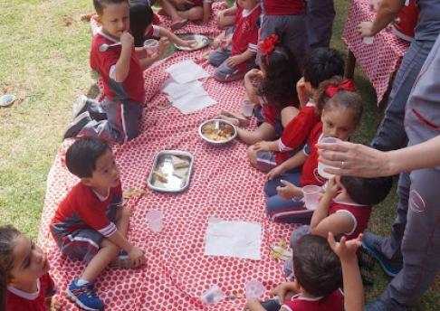 Educação Infantil - Piquenique