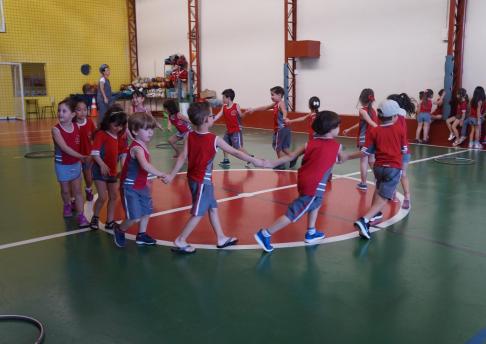 Competição entre Coelhos e Coelhas