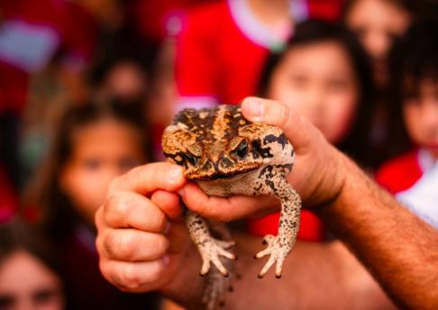 Prof. Vitor // Ouriço e sapo // 29.11.23