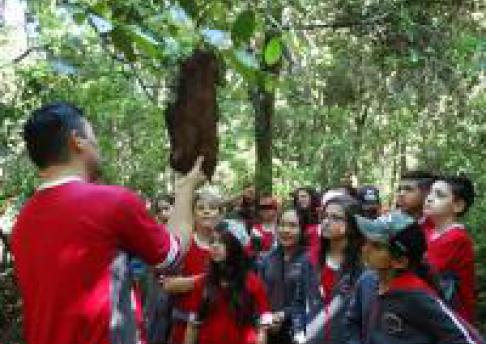 Visita ao Parque Estadual de Ibiporã - 6º ano