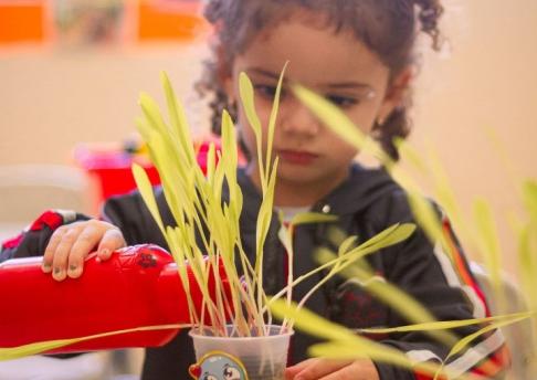 Dia do Meio Ambiente - Infantil