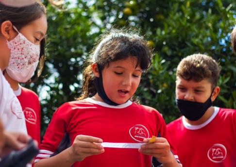 Caça ao Tesouro St. Patrick's Day 