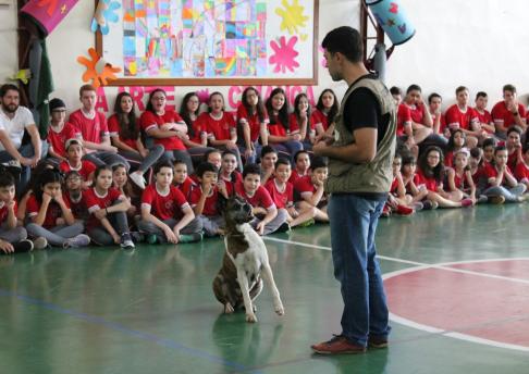 Mundo Animal - Semana da Criança