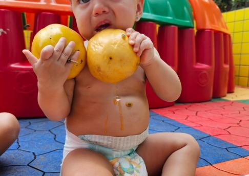 ESPAÇOS ORGANIZADOS  - FRUTAS // BERÇÁRIO 