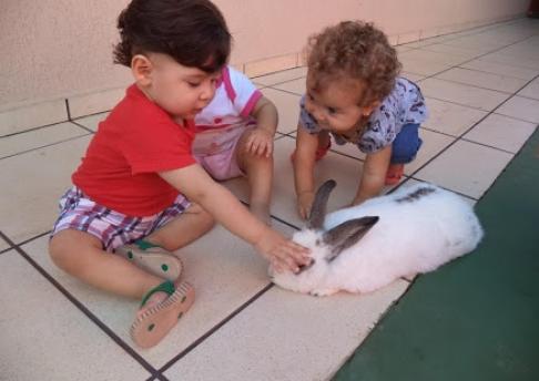 Atividades Berçário - Abril