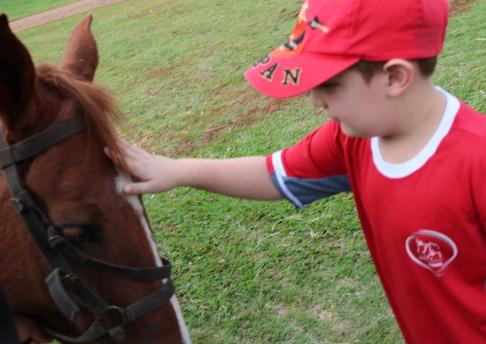 Visita ao Projeto Jabuti 1° Ano