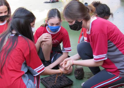 Produção de Alimentos GEA 