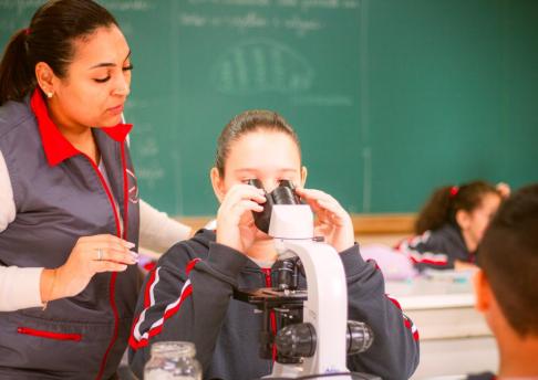 Cloroplastos no Microscópio