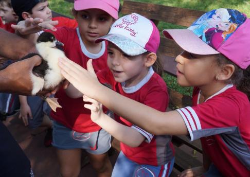 Visita ao projeto Jabuti - 1° ano