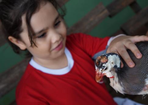 Visita ao Projeto Jabuti com os alunos do Terceiro Ano