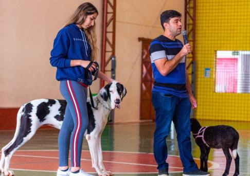 Visita dos bichinhos